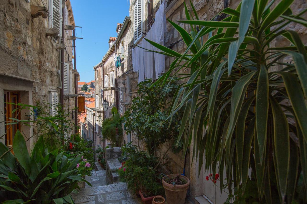 Apartman Mama Marija Dubrovnik Kültér fotó